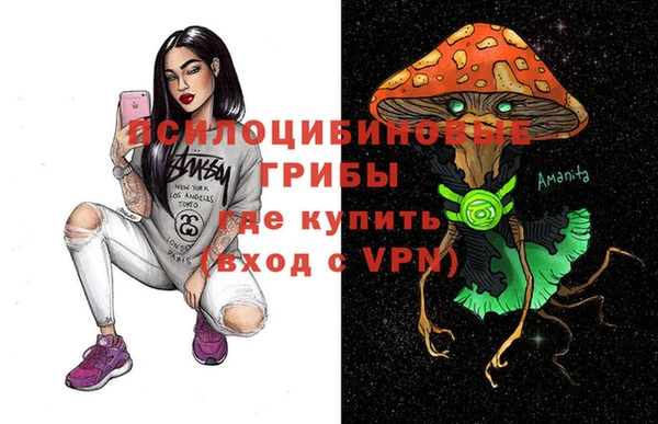 дмт Алзамай