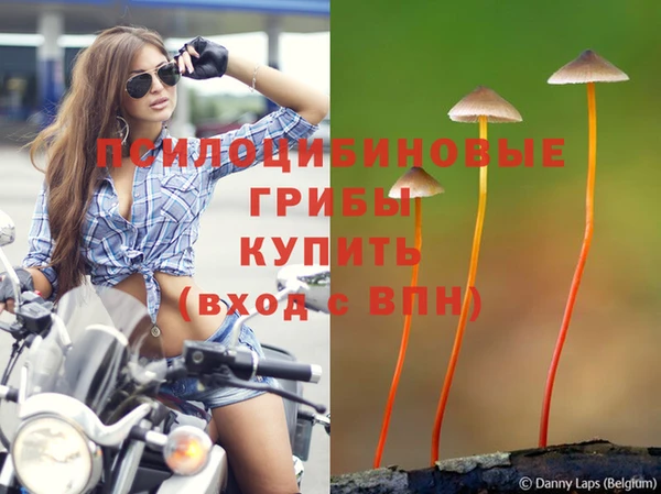 mix Алексин
