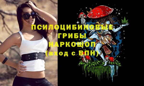дмт Алзамай